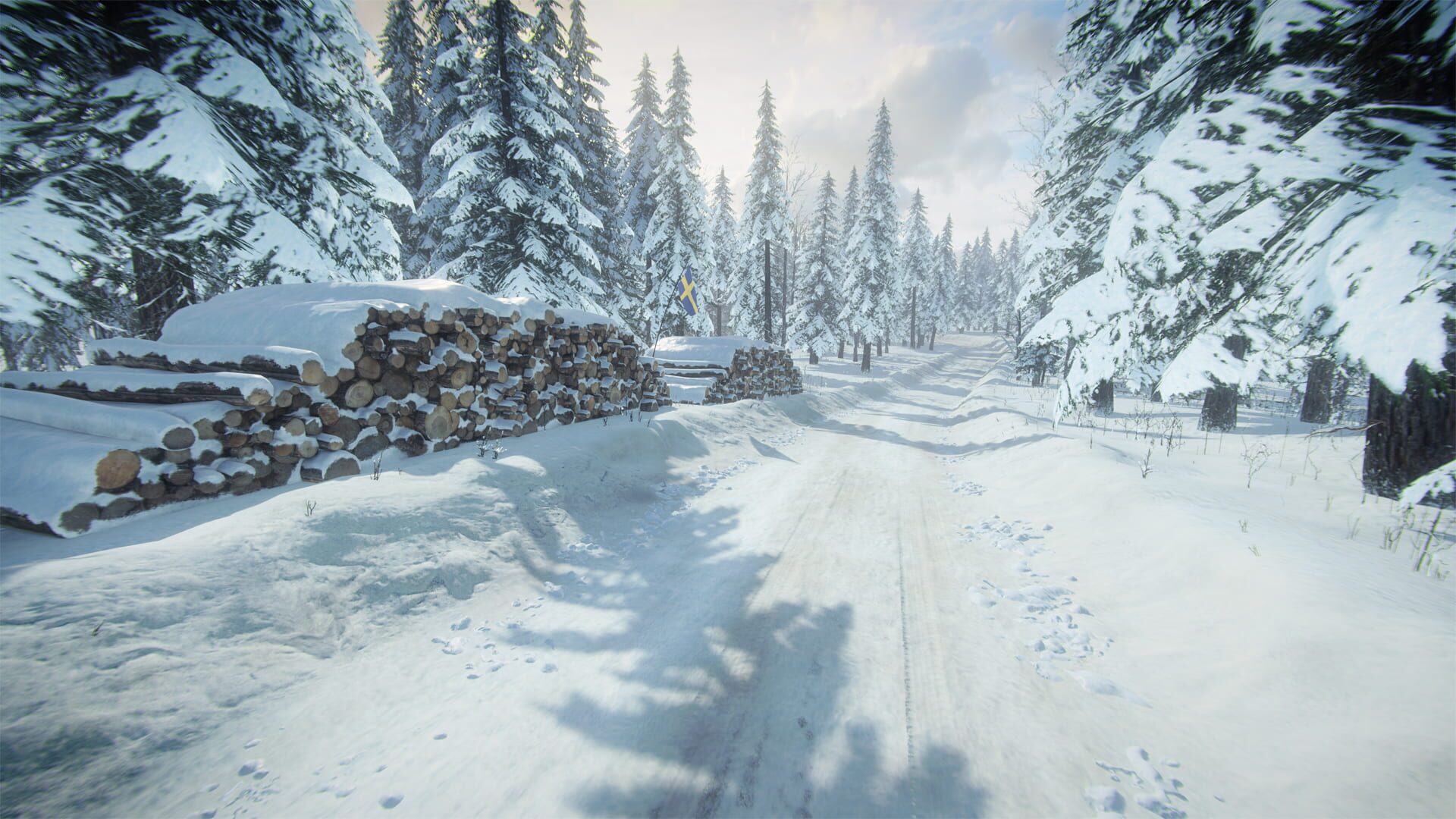 Screenshot for DiRT Rally 2.0: Sweden (Rally Location)