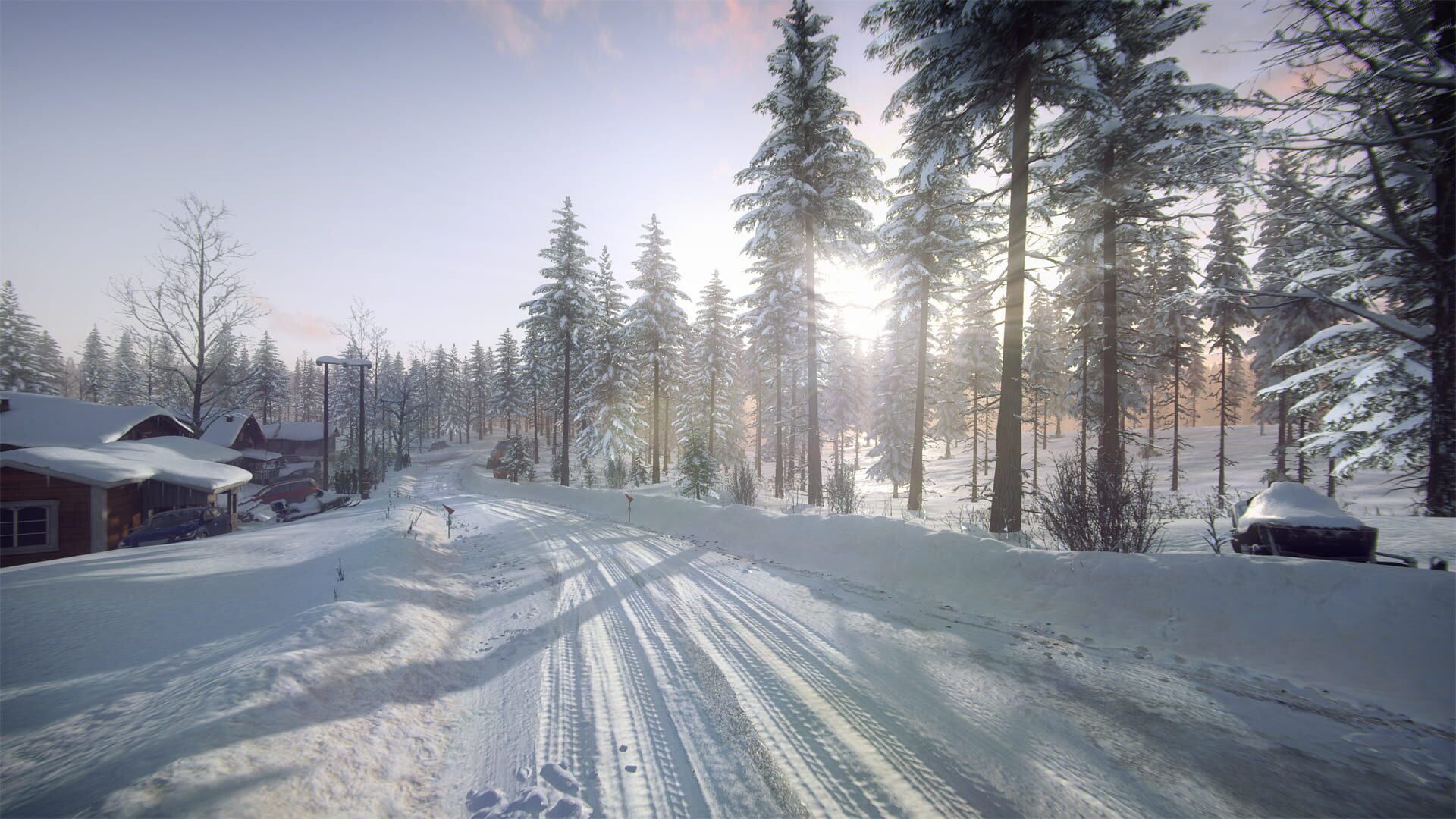 Screenshot for DiRT Rally 2.0: Sweden (Rally Location)