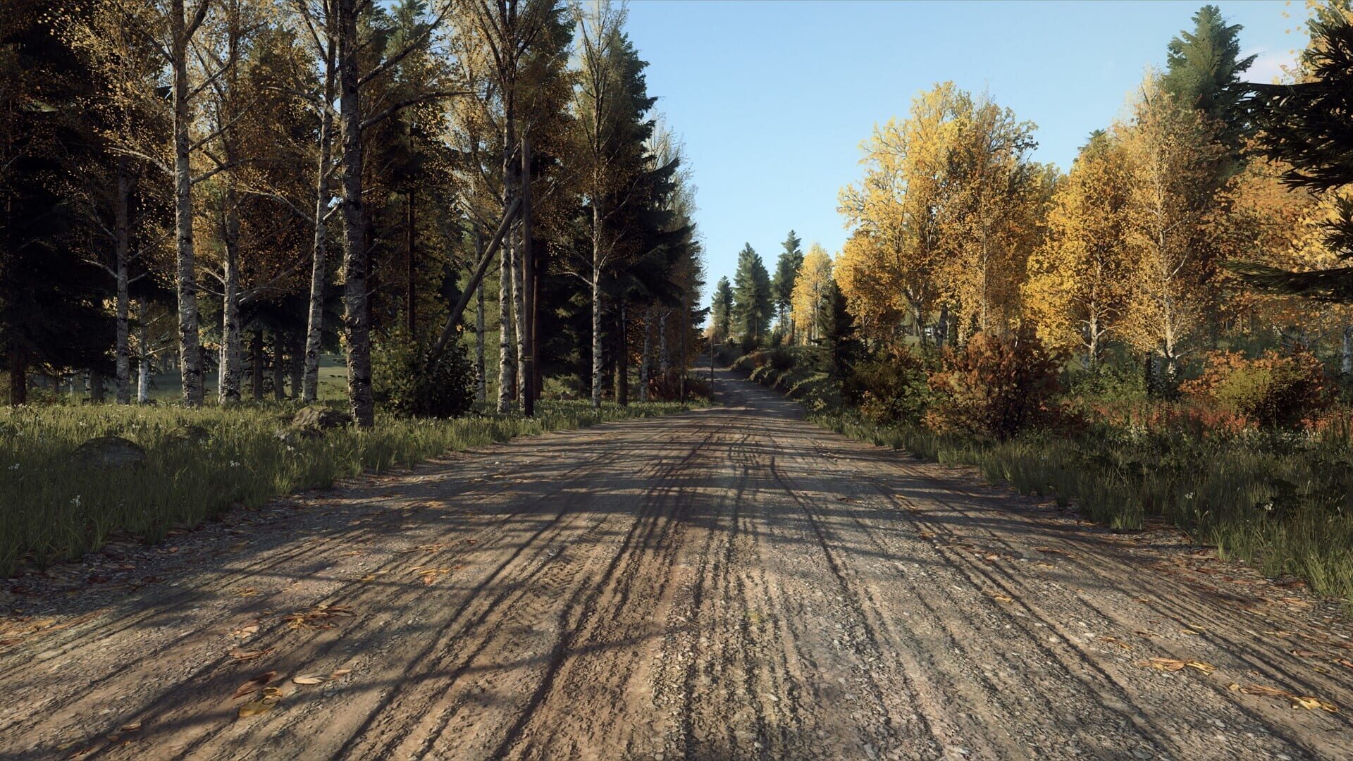 Screenshot for DiRT Rally 2.0: Finland (Rally Location)