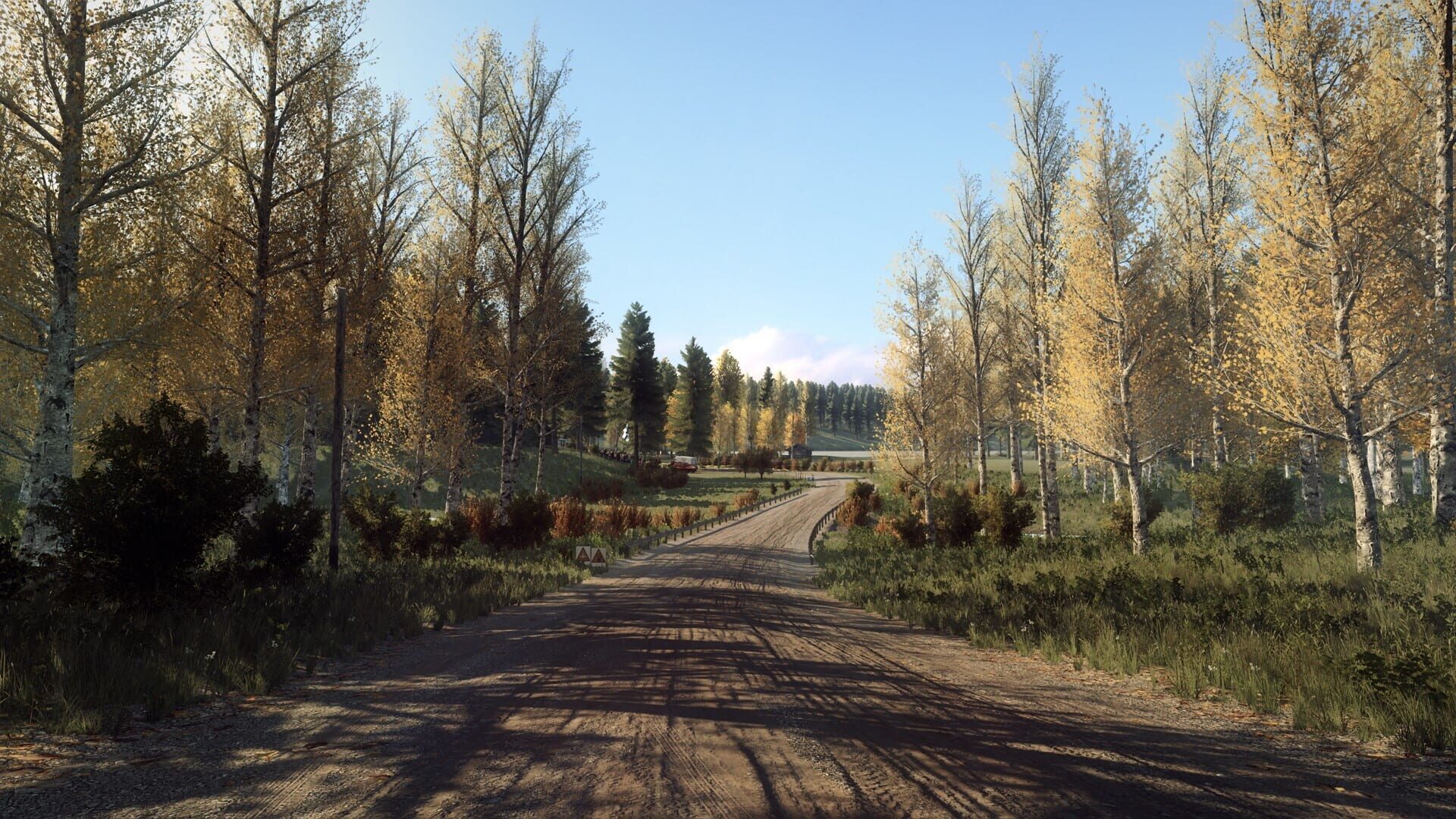 Screenshot for DiRT Rally 2.0: Finland (Rally Location)