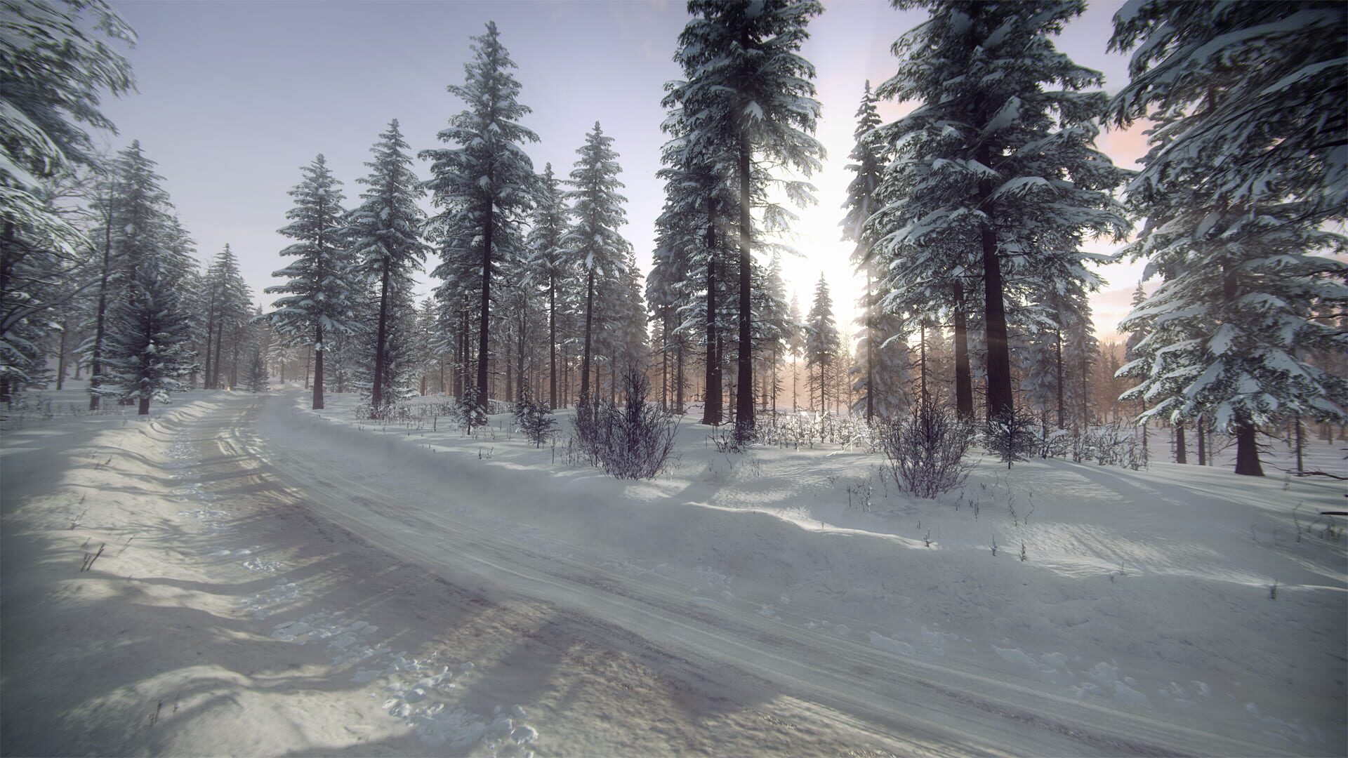 Screenshot for DiRT Rally 2.0: Sweden (Rally Location)