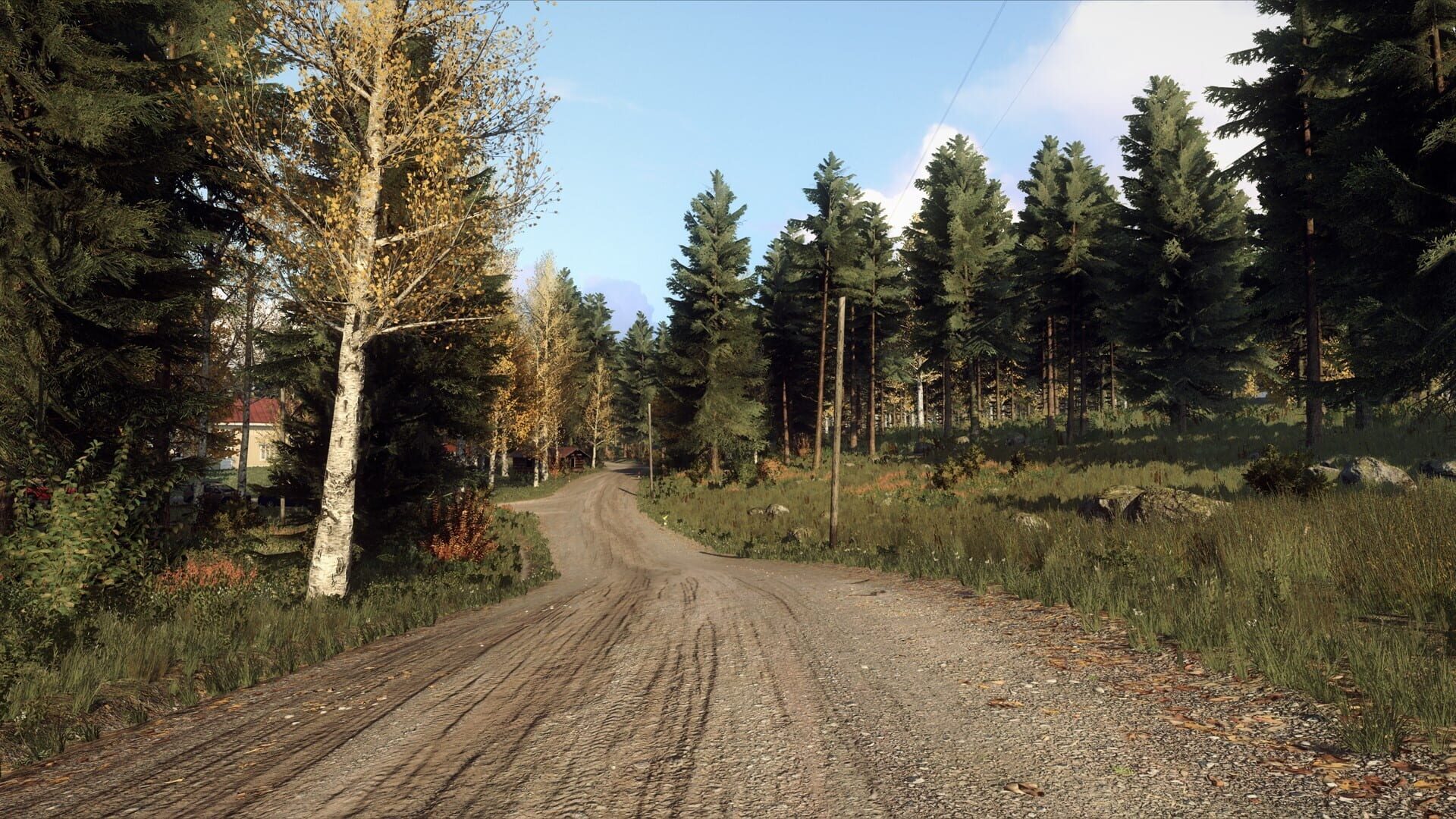 Screenshot for DiRT Rally 2.0: Finland (Rally Location)