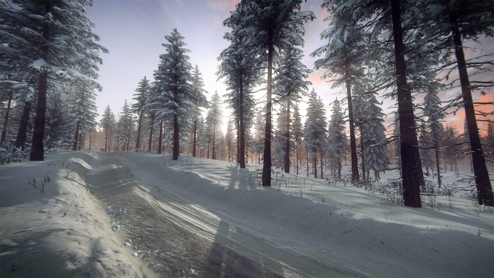Screenshot for DiRT Rally 2.0: Sweden (Rally Location)