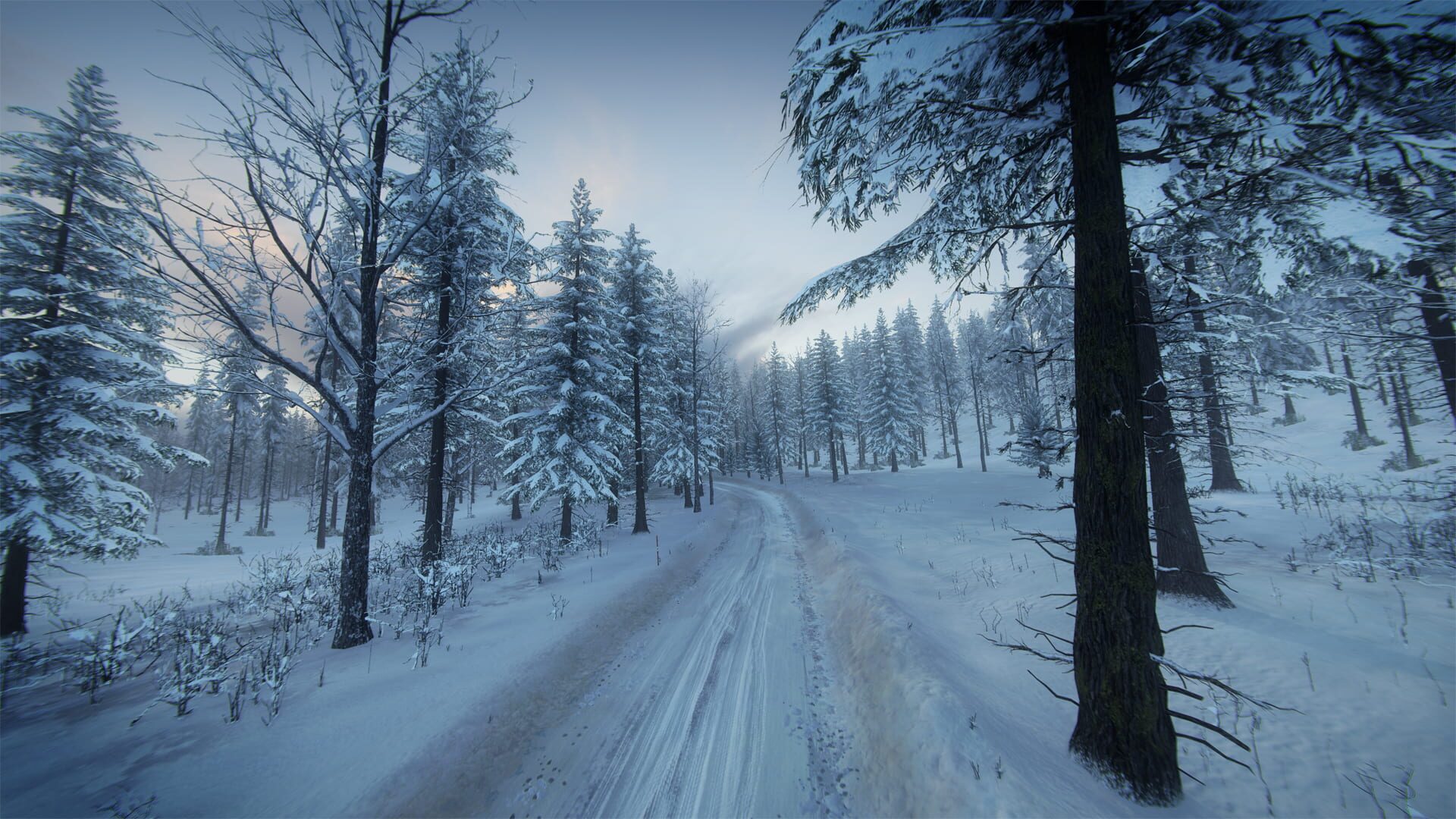 Screenshot for DiRT Rally 2.0: Sweden (Rally Location)