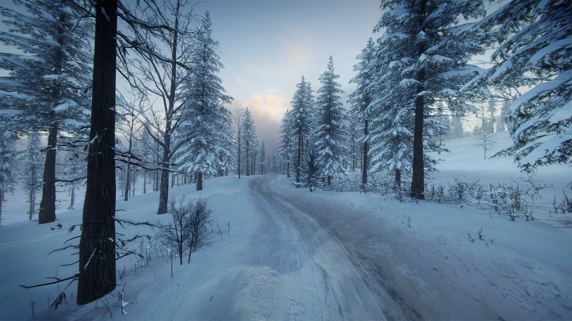 Screenshot for DiRT Rally 2.0: Sweden (Rally Location)