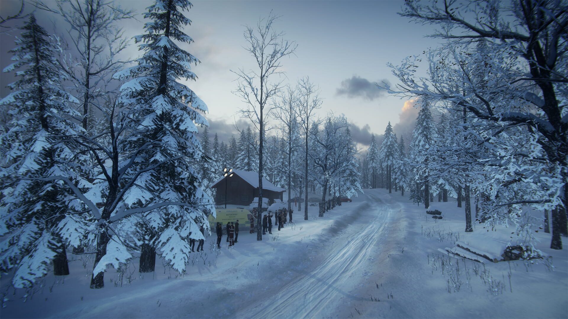 Screenshot for DiRT Rally 2.0: Sweden (Rally Location)