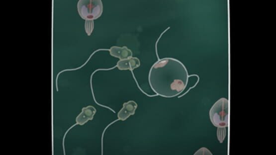 Screenshot for Coil