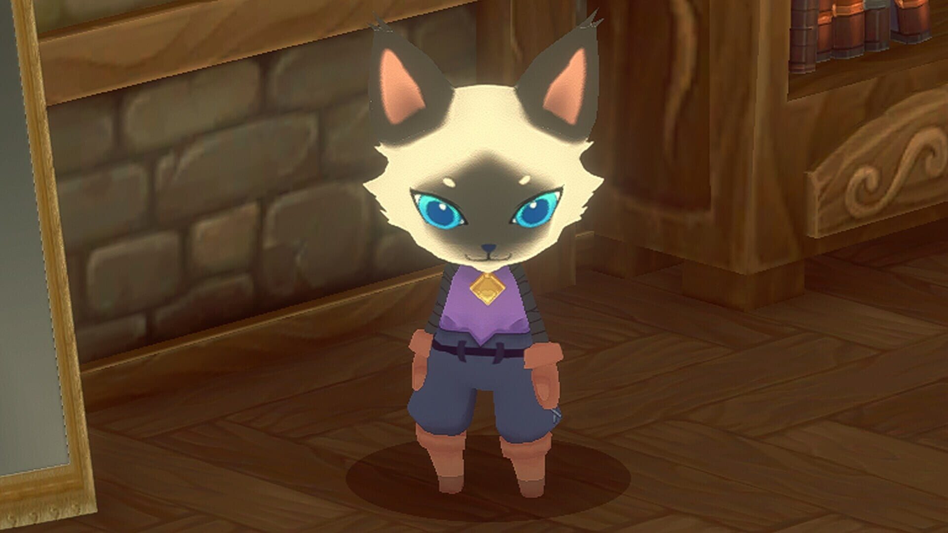 Screenshot for Kitaria Fables
