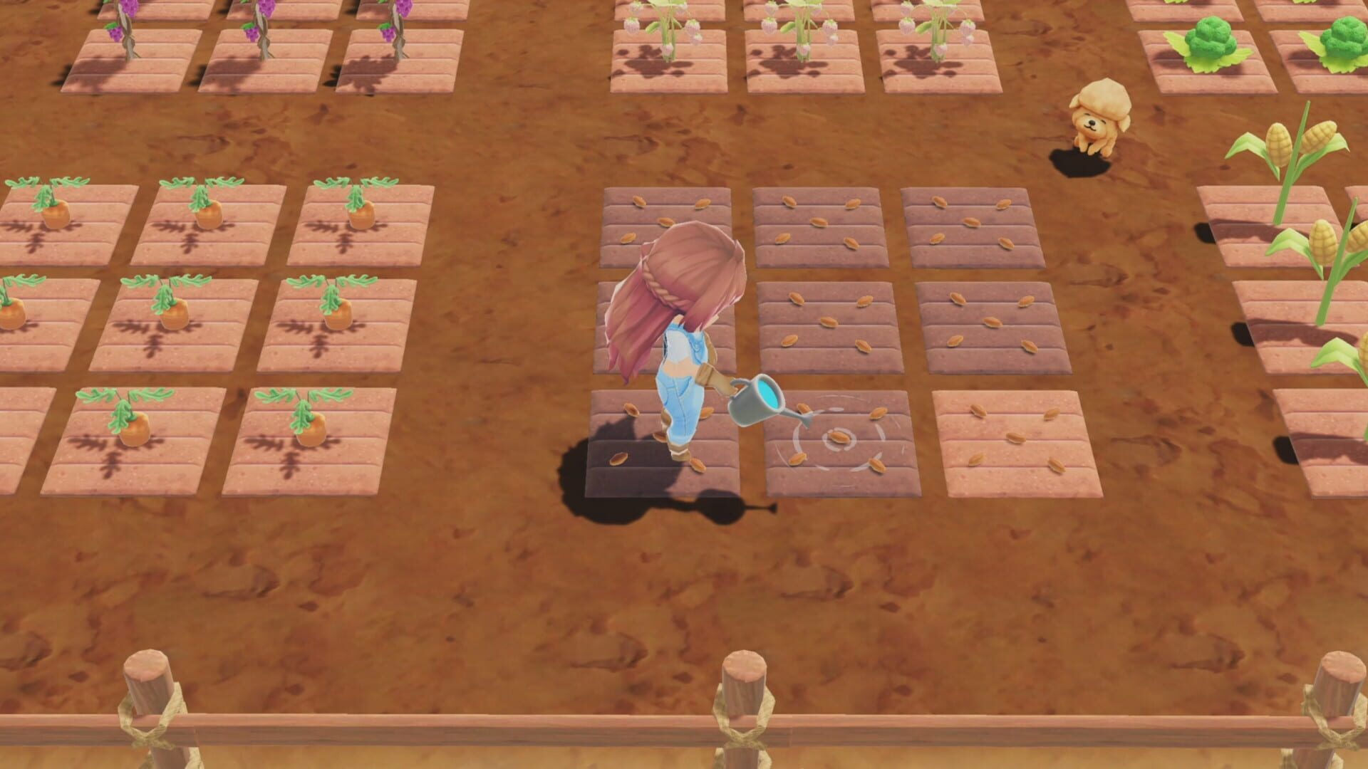 Screenshot for A New Leaf: Memories