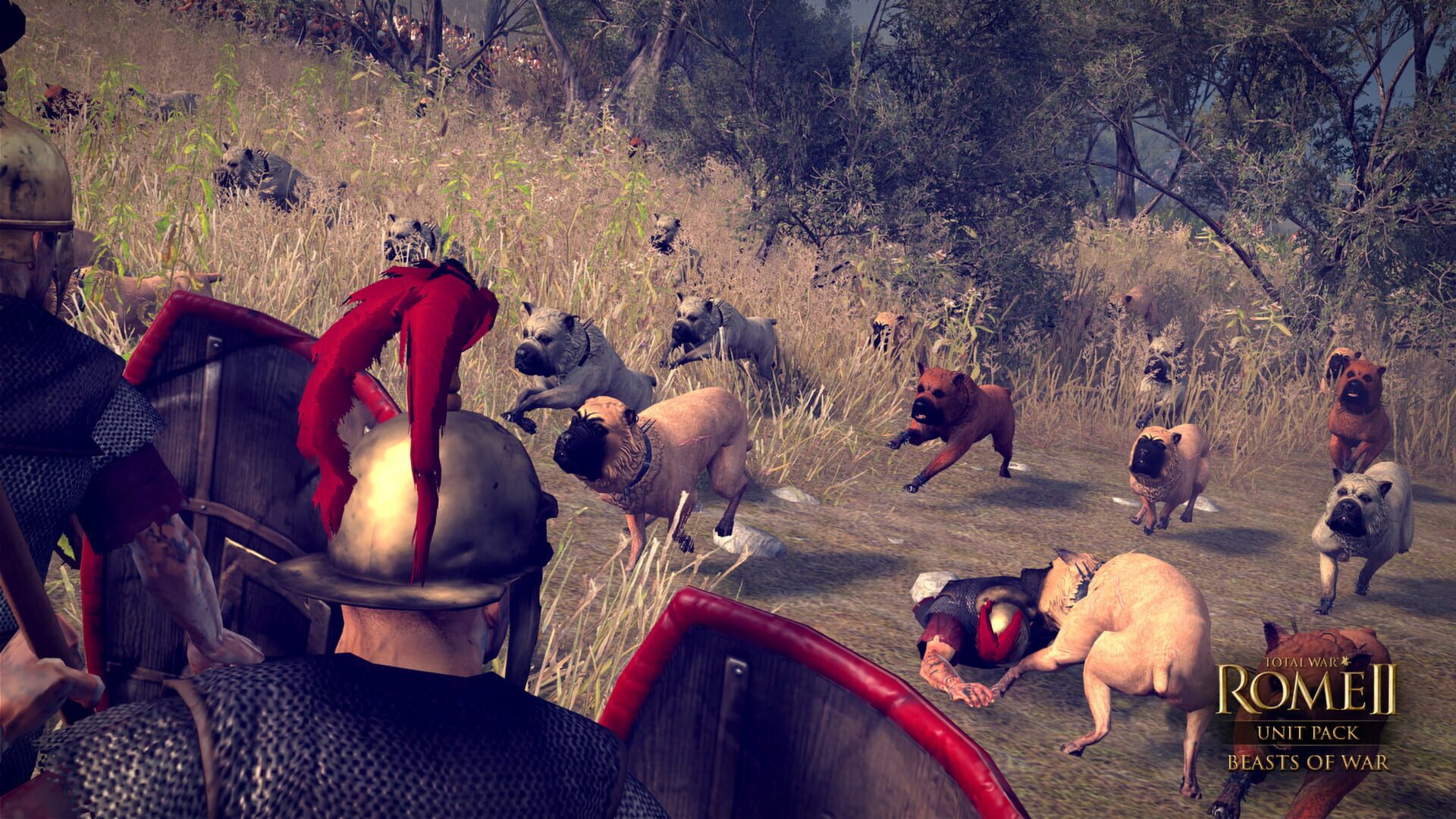 Screenshot for Total War: Rome II - Unit Pack: Beasts of War