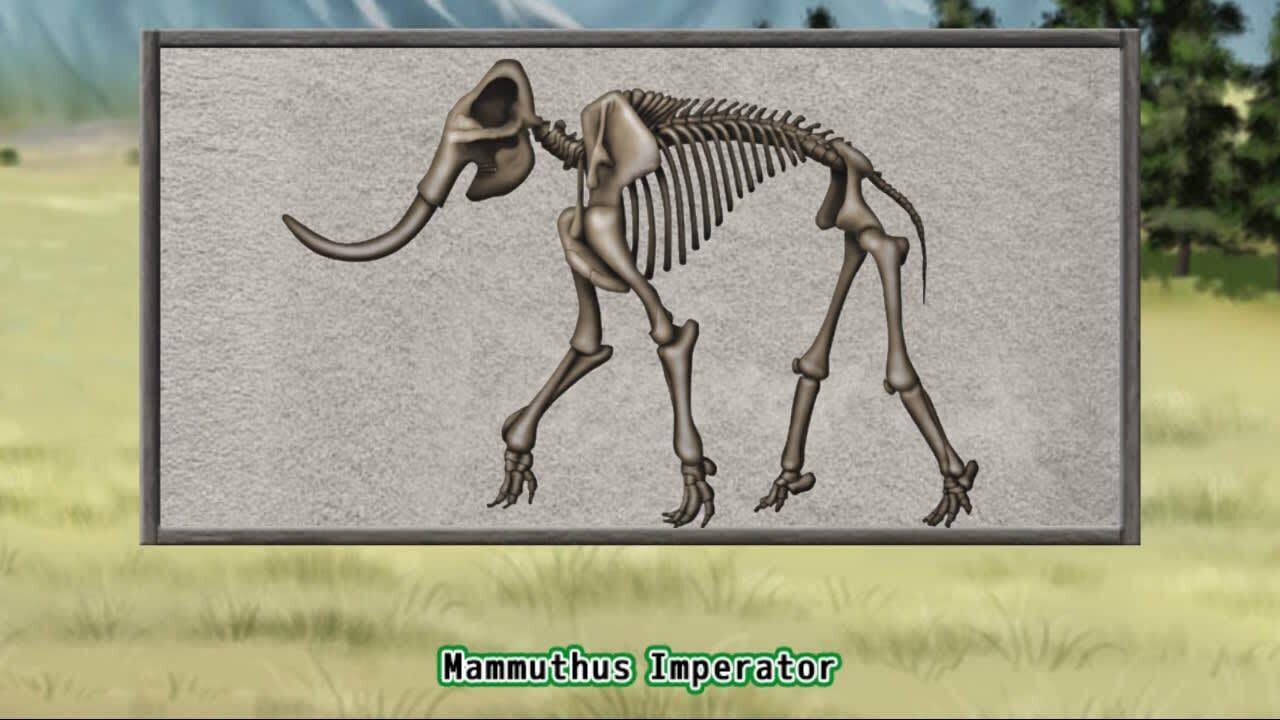 Screenshot for Prehistoric Life Puzzles