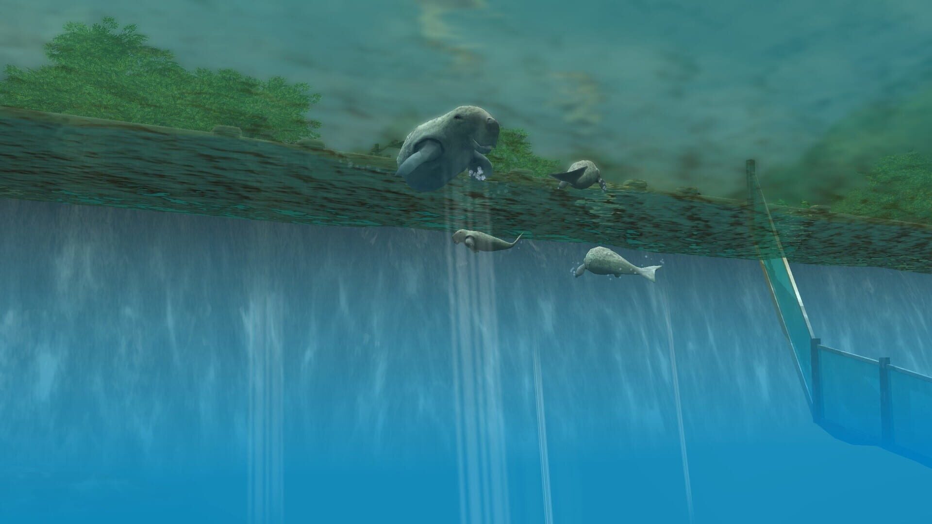 Screenshot for Wildlife Park 3: Amazonas