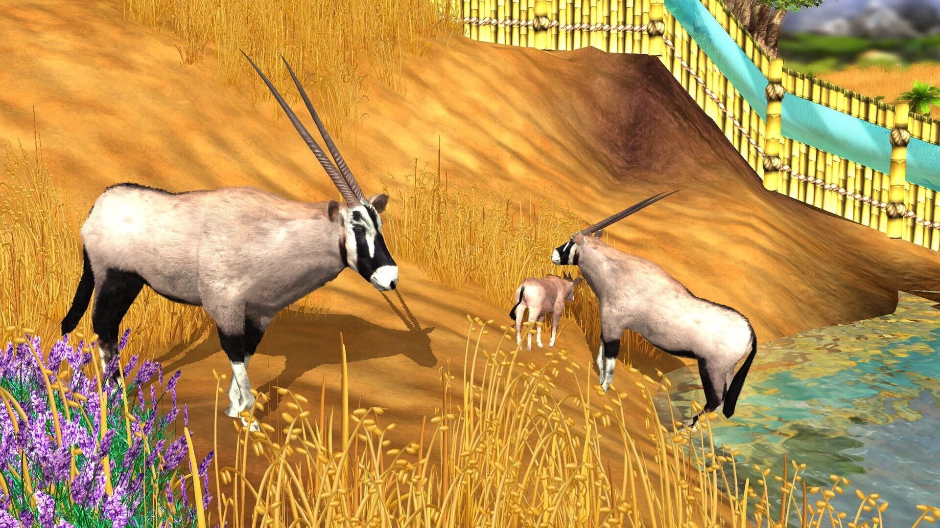 Screenshot for Wildlife Park 3: Africa
