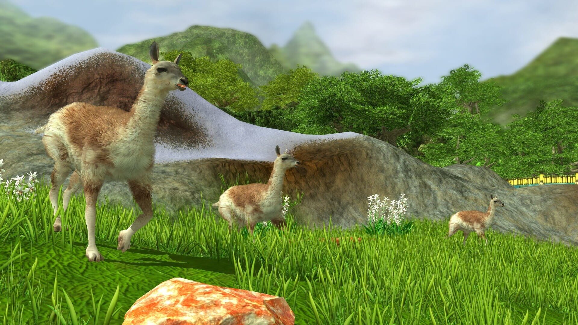 Screenshot for Wildlife Park 3: Amazonas