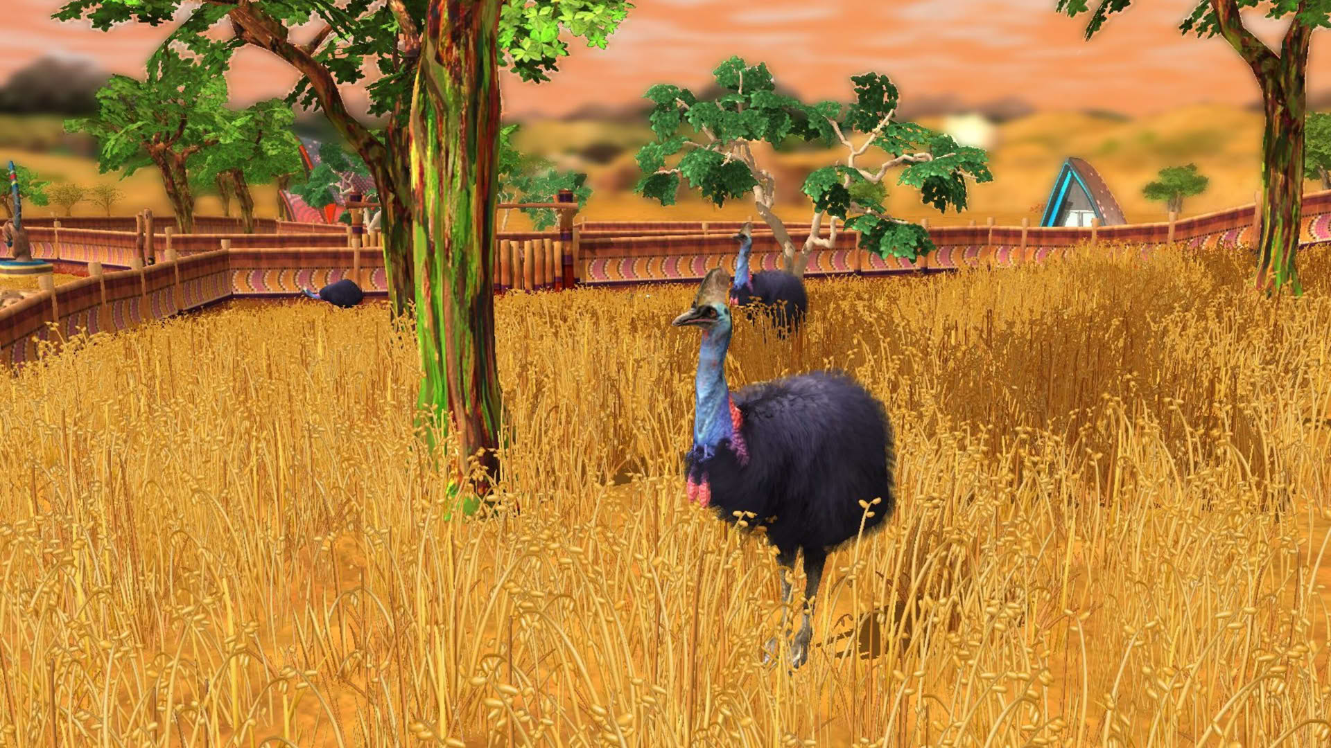 Screenshot for Wildlife Park 3: Down Under