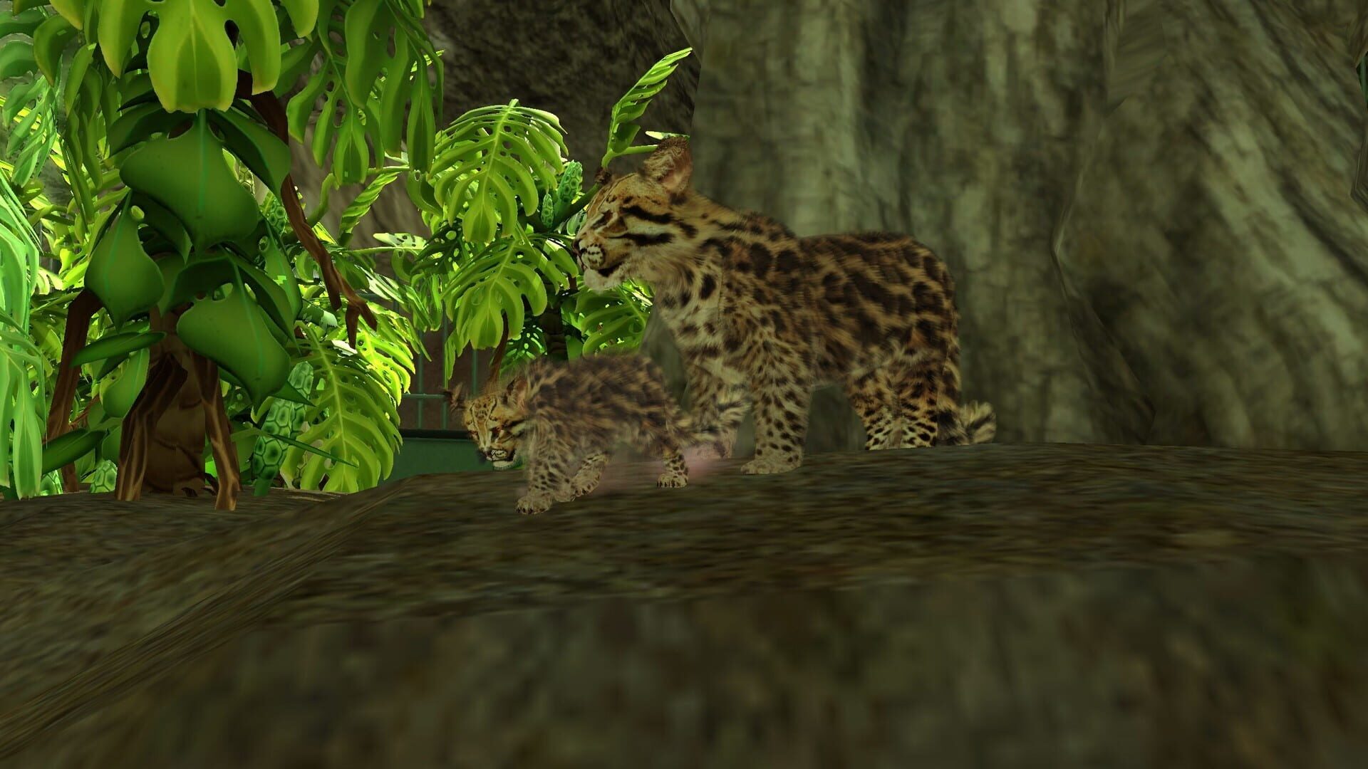 Screenshot for Wildlife Park 3: Amazonas