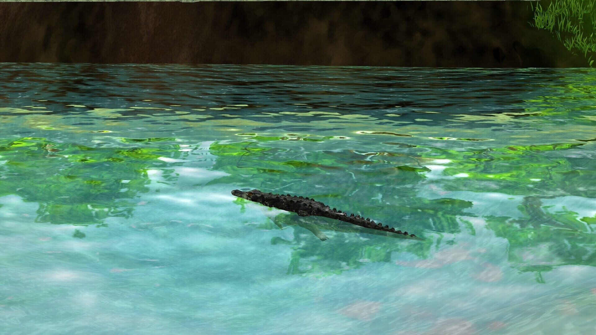 Screenshot for Wildlife Park 3: Amazonas