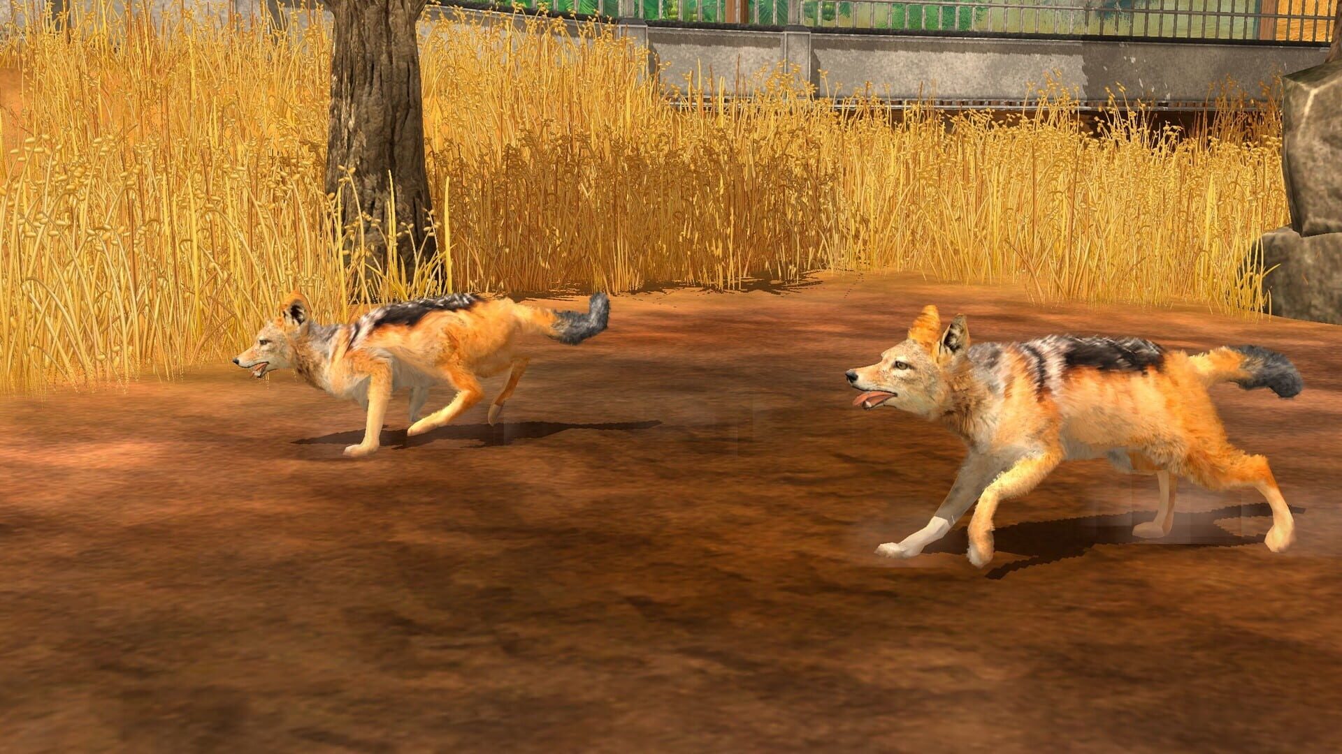 Screenshot for Wildlife Park 3: Africa