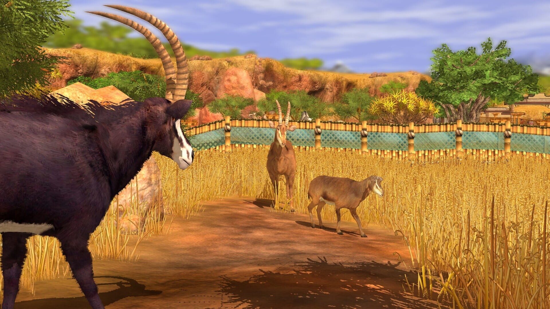 Screenshot for Wildlife Park 3: Africa