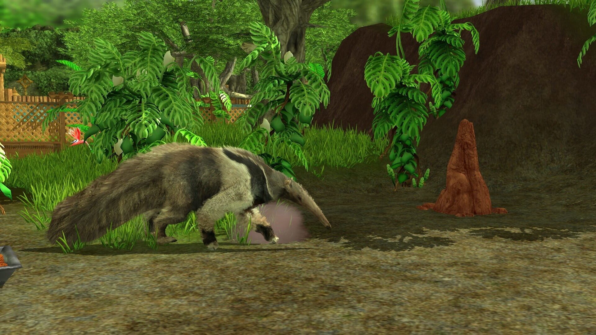 Screenshot for Wildlife Park 3: Amazonas