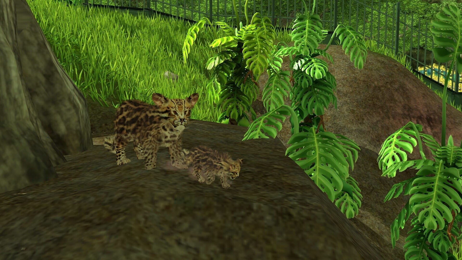 Screenshot for Wildlife Park 3: Amazonas