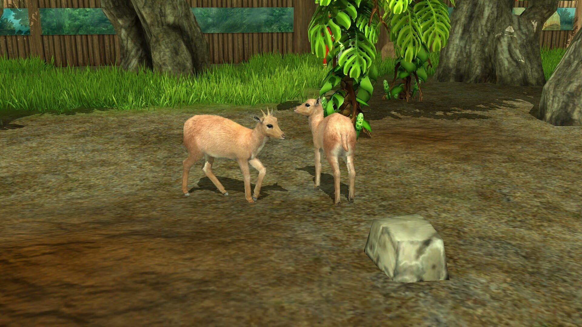 Screenshot for Wildlife Park 3: Amazonas