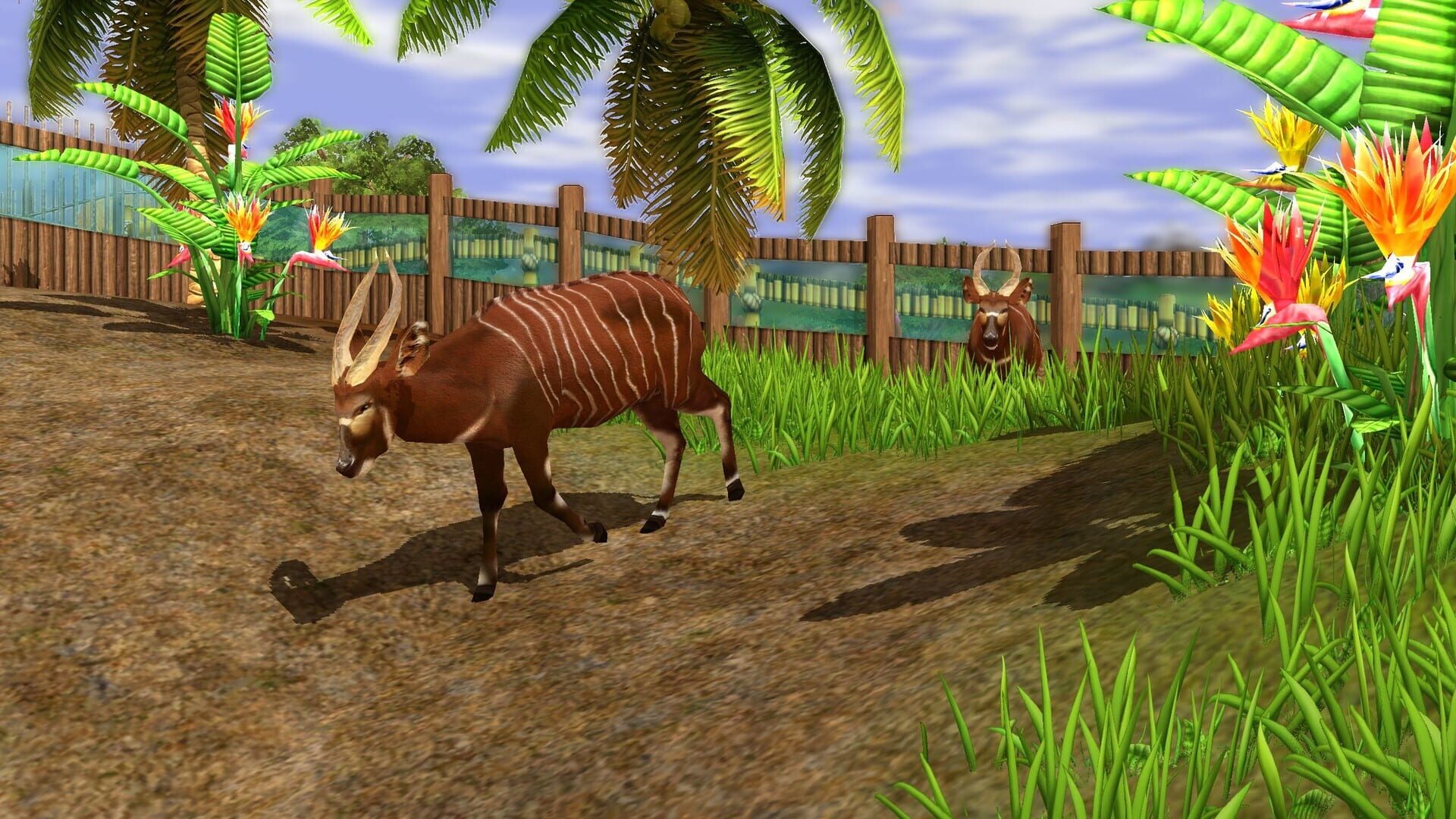 Screenshot for Wildlife Park 3: Africa