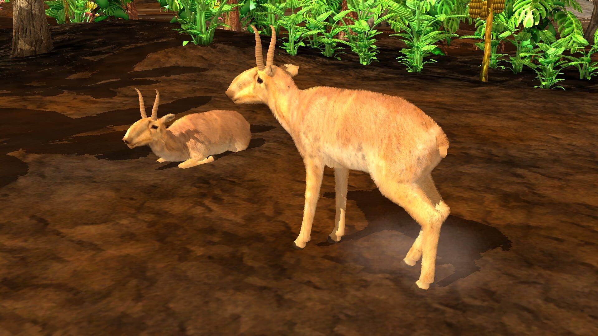 Screenshot for Wildlife Park 3: Asia