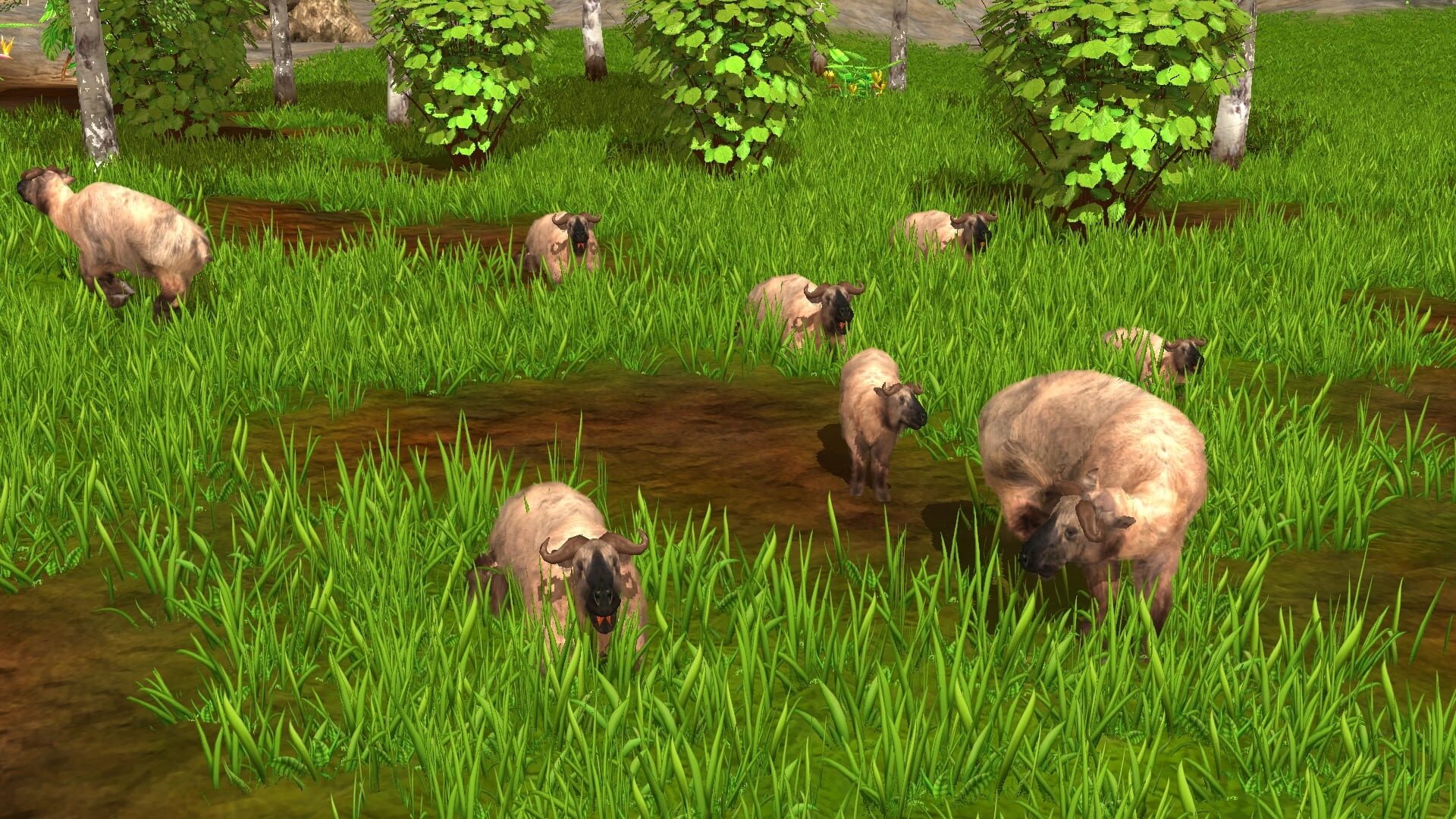 Screenshot for Wildlife Park 3: Asia