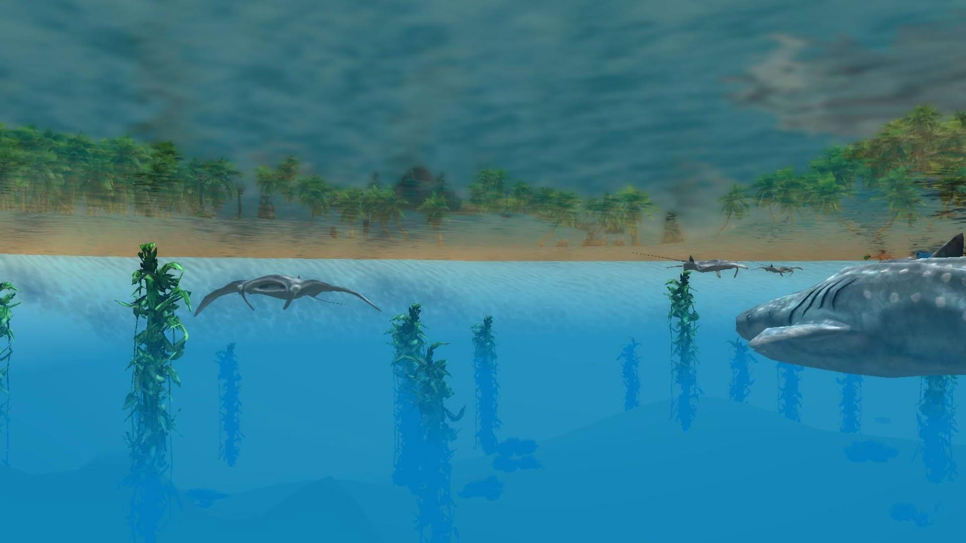 Screenshot for Wildlife Park 3: Creatures of the Caribbean