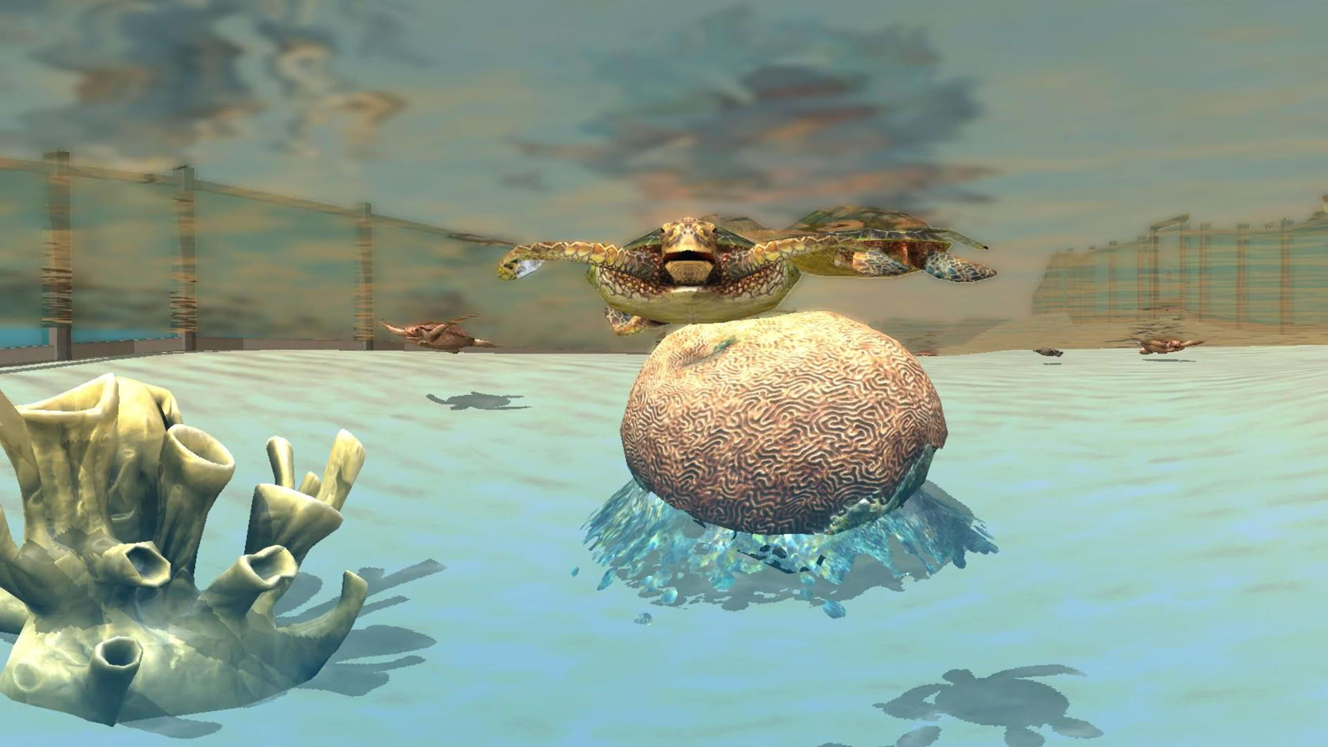 Screenshot for Wildlife Park 3: Creatures of the Caribbean