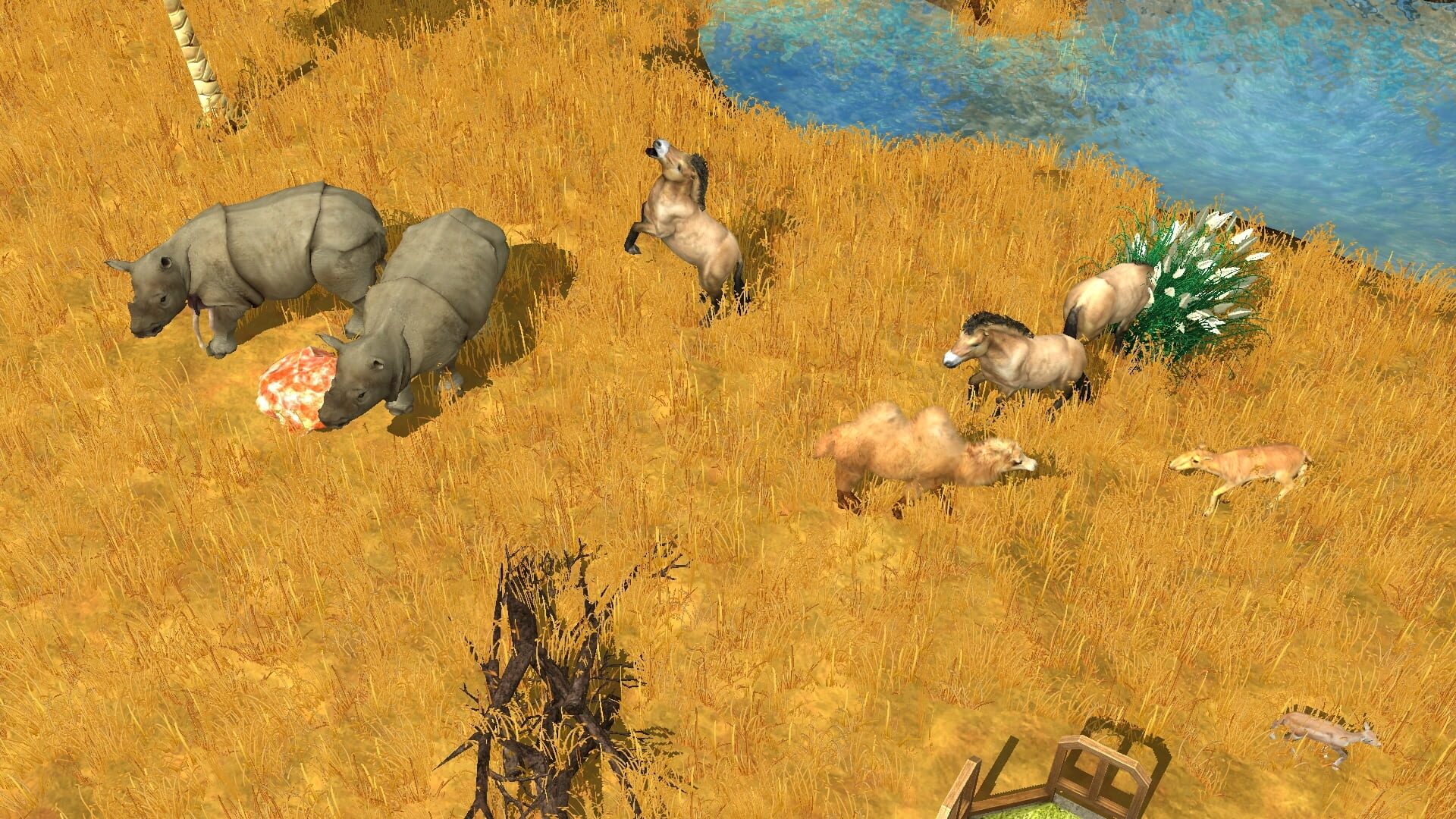 Screenshot for Wildlife Park 3: Asia