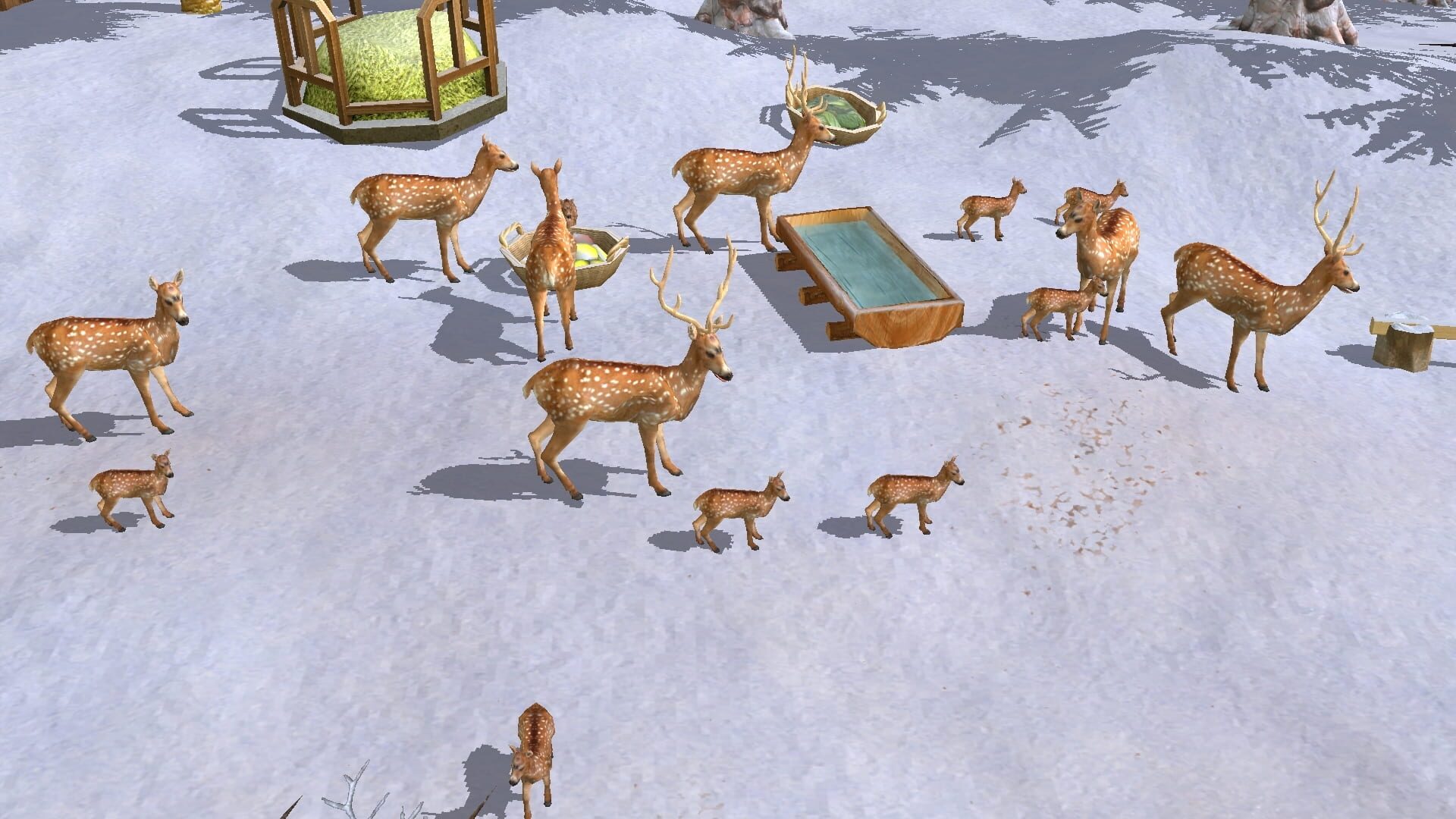 Screenshot for Wildlife Park 3: Asia