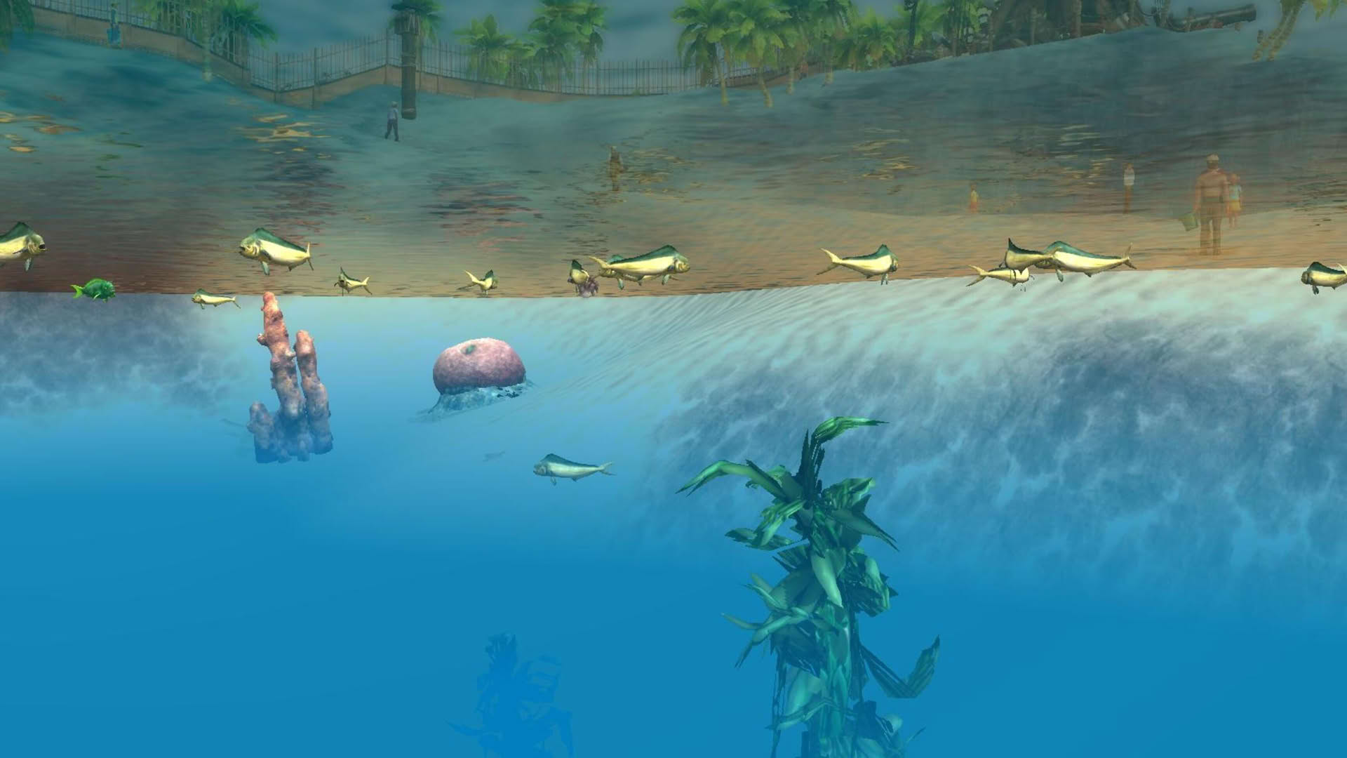 Screenshot for Wildlife Park 3: Creatures of the Caribbean