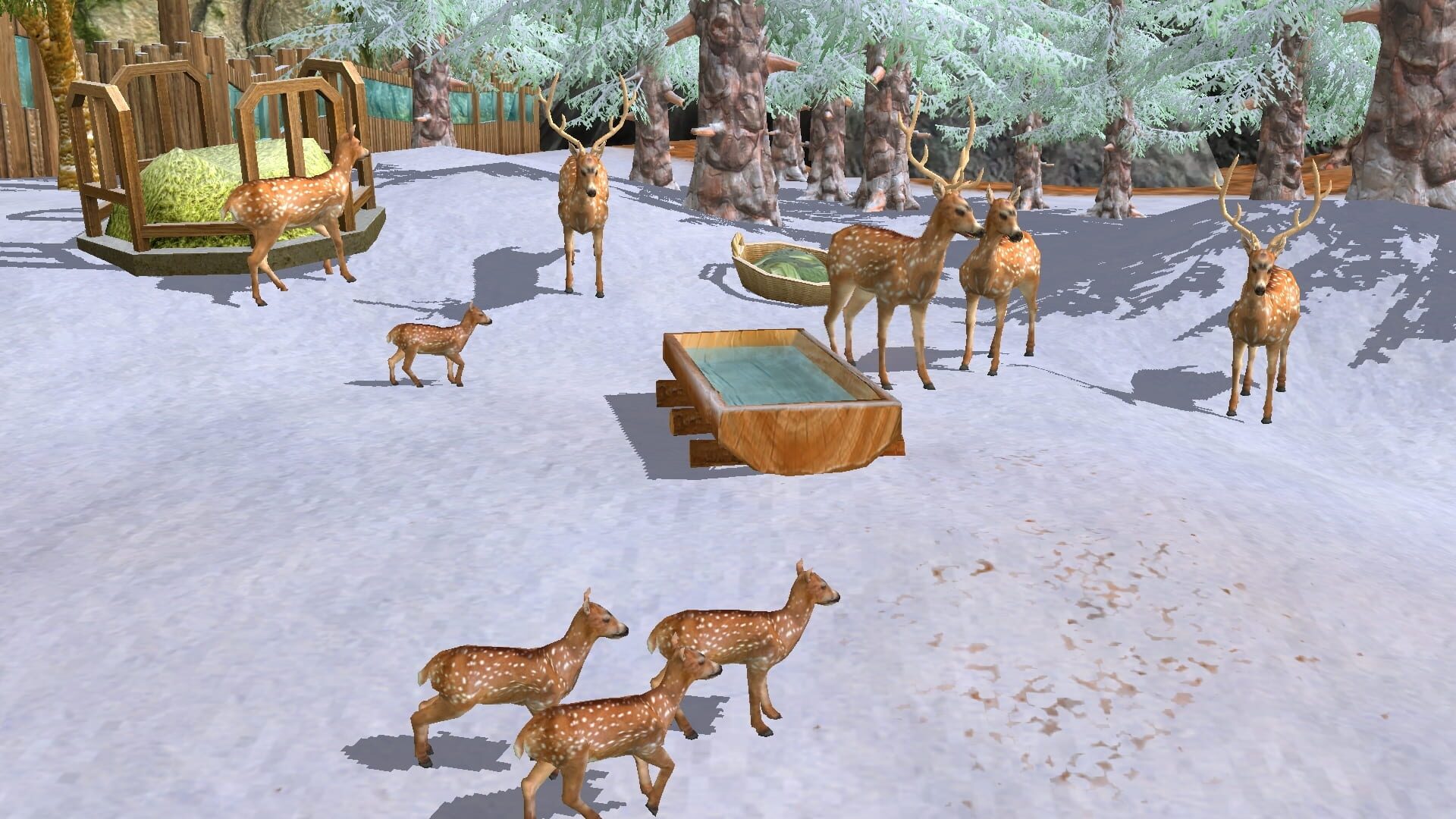 Screenshot for Wildlife Park 3: Asia