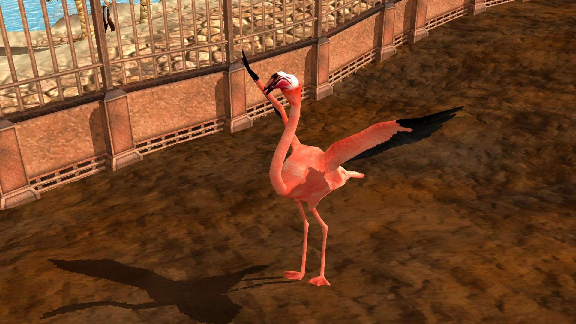 Screenshot for Wildlife Park 3: Creatures of the Caribbean