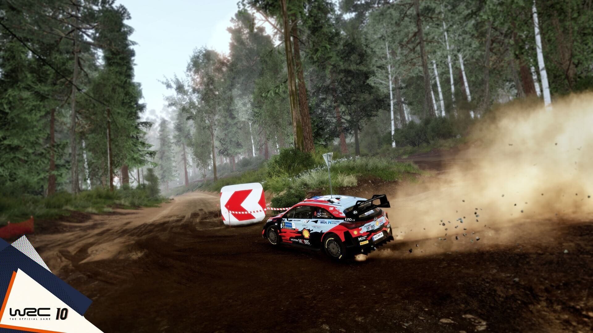 Screenshot for WRC 10