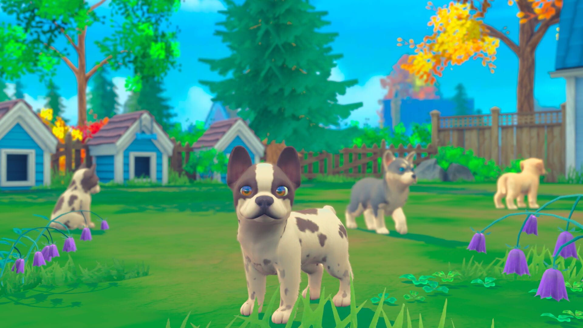 Screenshot for My Universe: Puppies and Kittens