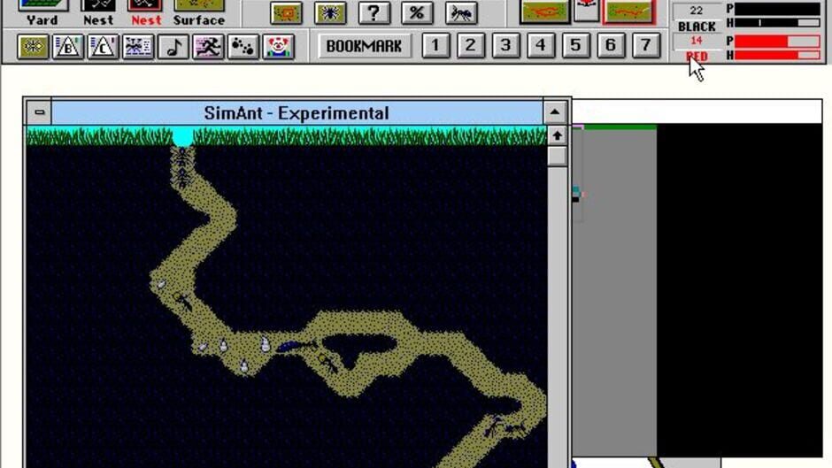 Screenshot for SimAnt