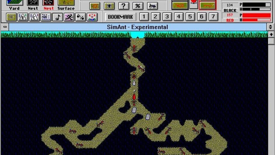 Screenshot for SimAnt