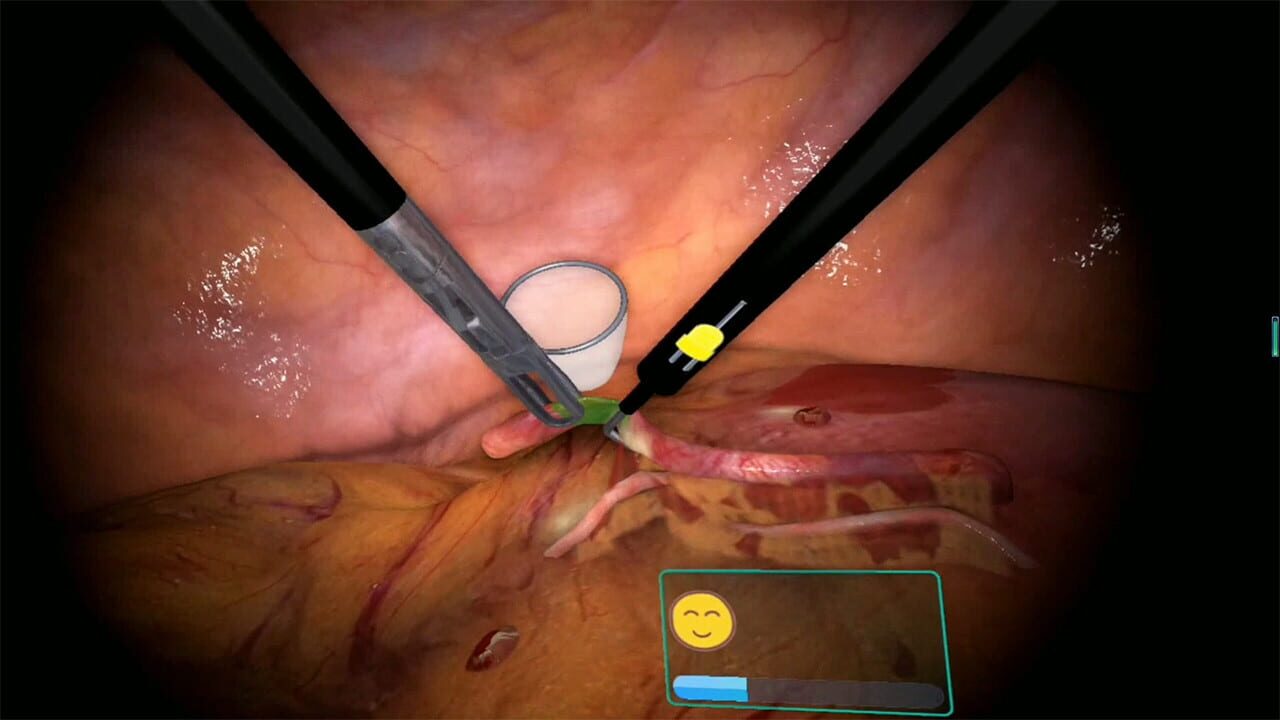 Screenshot for Surgical Robot Simulator