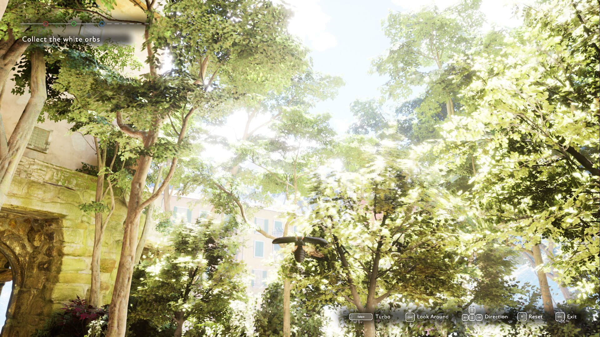 Screenshot for The Market of Light