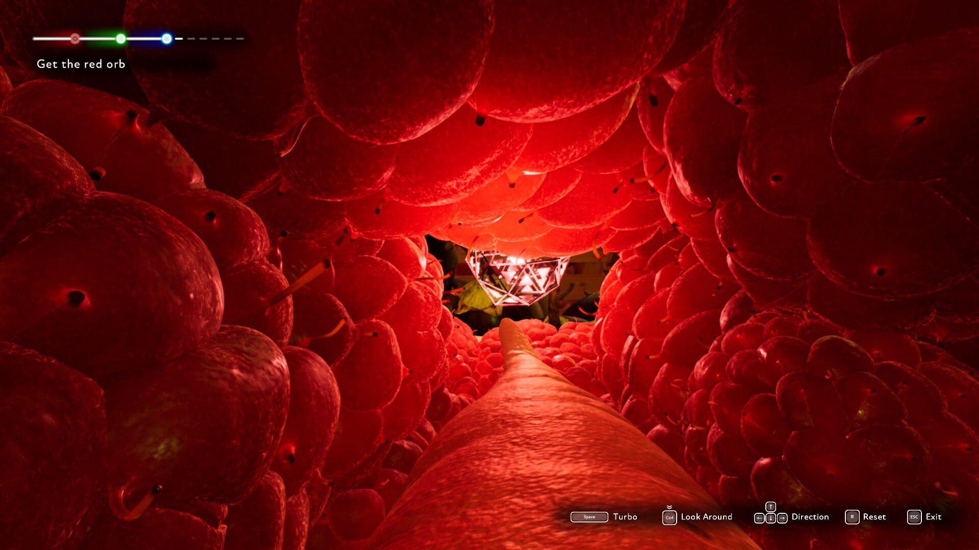 Screenshot for The Market of Light