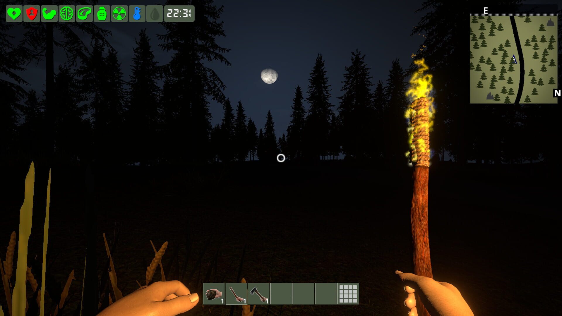 Screenshot for The Survivor