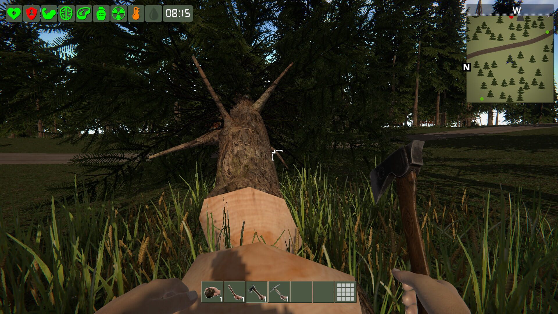 Screenshot for The Survivor