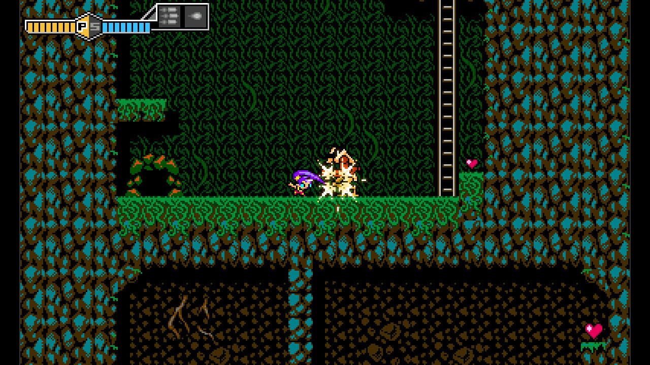 Screenshot for Blaster Master Zero: EX Character - Shantae