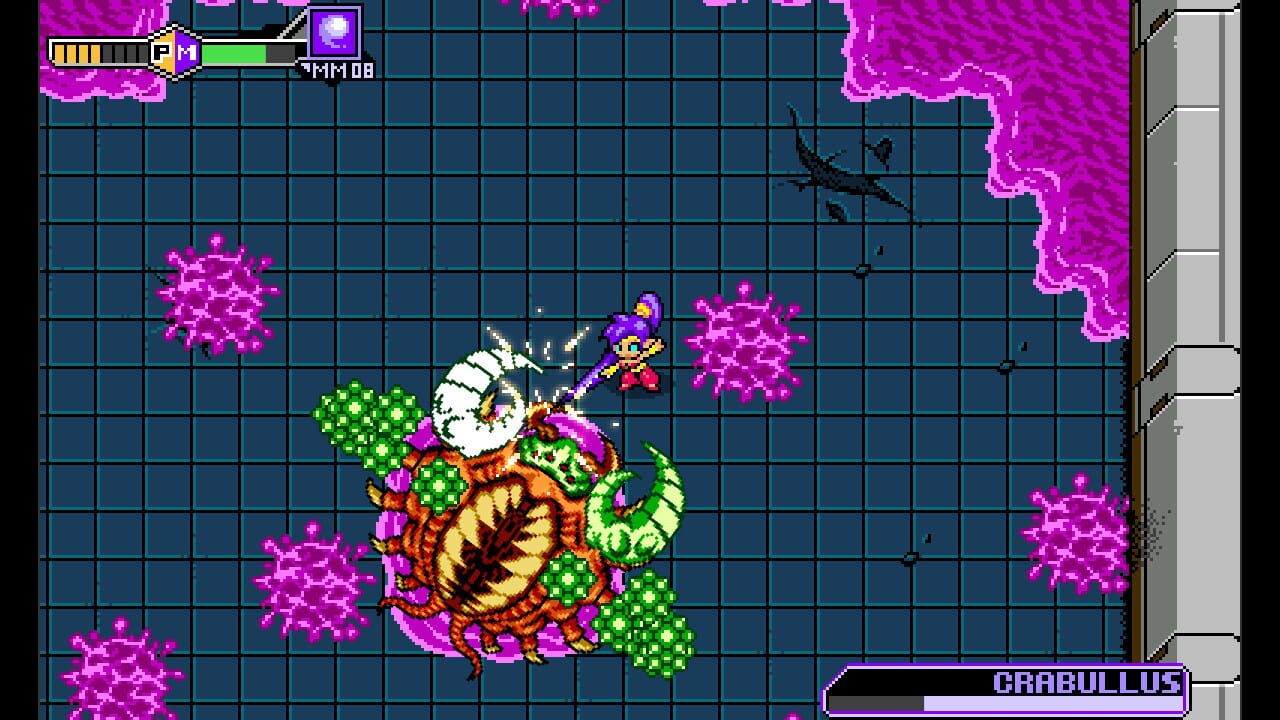 Screenshot for Blaster Master Zero: EX Character - Shantae