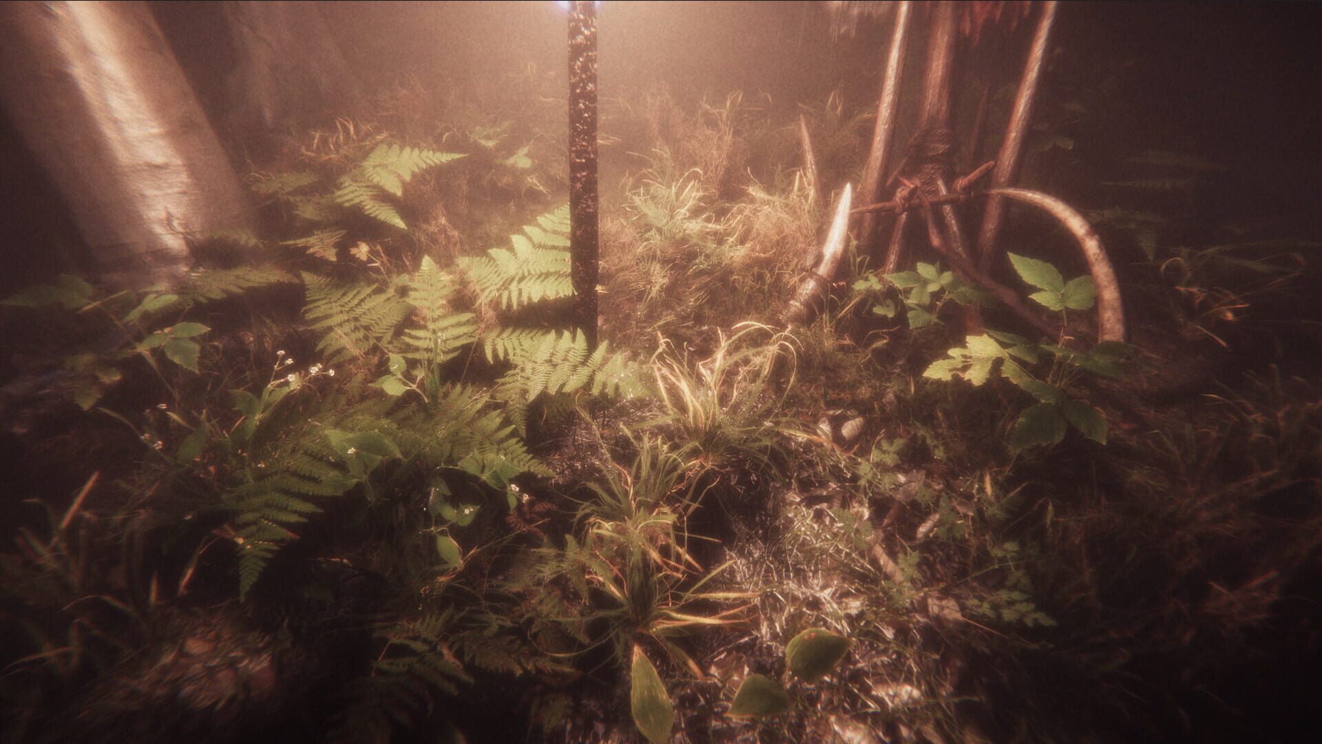Screenshot for Escape the Ayuwoki: The Summoning