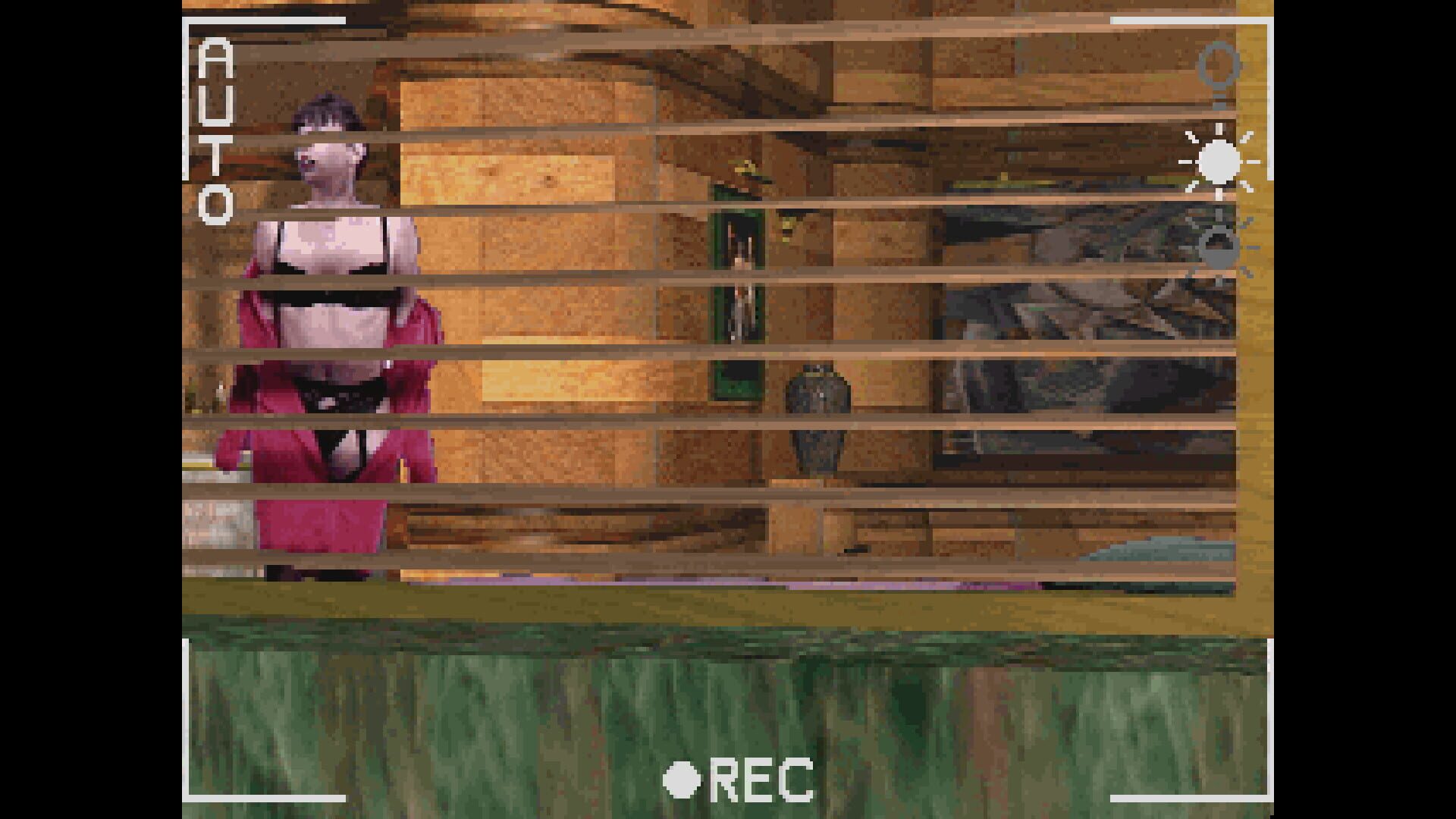 Screenshot for Voyeur