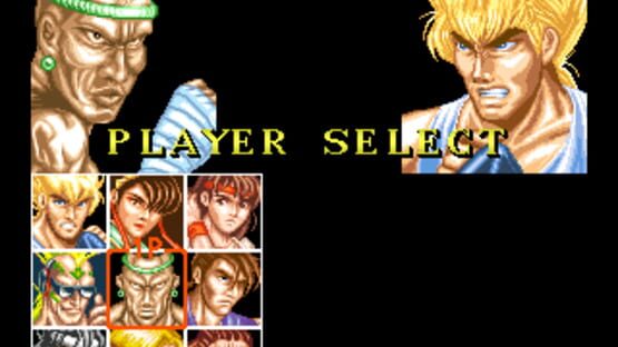 Screenshot for Fighter's History